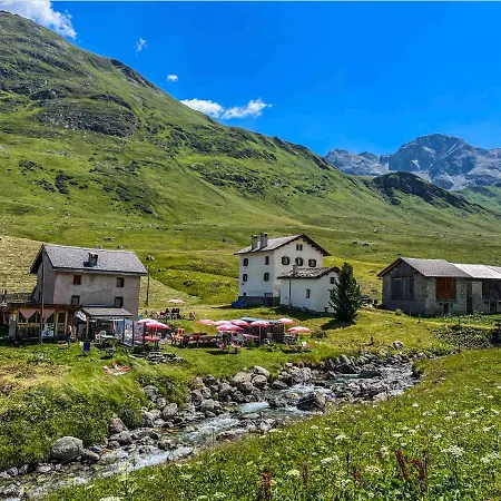Appartement Heimelige Mit Sicht In Bergwelt Bivio