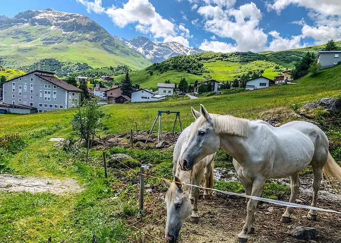 Heimelige Mit Sicht In Bergwelt Bivio