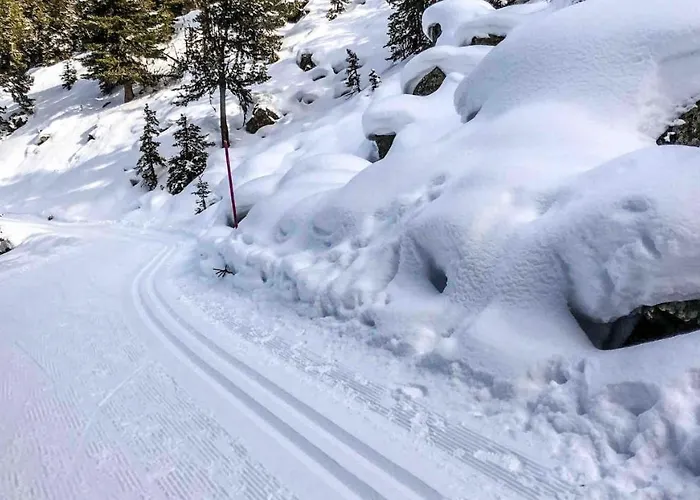 Heimelige Mit Sicht In Bergwelt