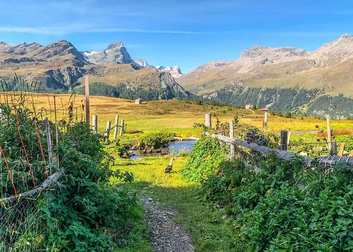 Appartamento Heimelige Mit Sicht In Bergwelt Bivio