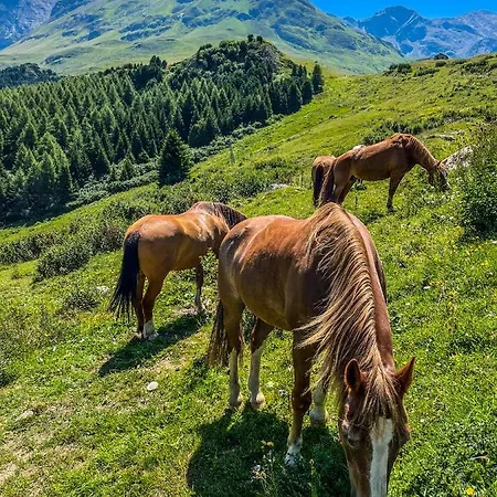 アパート Heimelige Mit Sicht In Bergwelt *