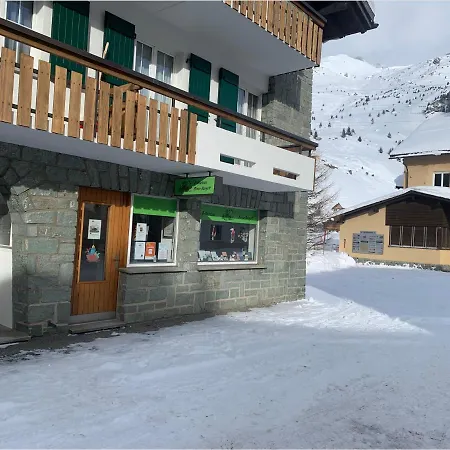Apartment Heimelige Mit Sicht In Bergwelt Bivio
