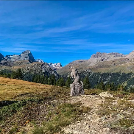 Heimelige Mit Sicht In Bergwelt * Bivio