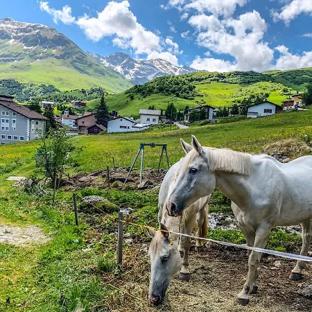 Heimelige Mit Sicht In Bergwelt Bivio