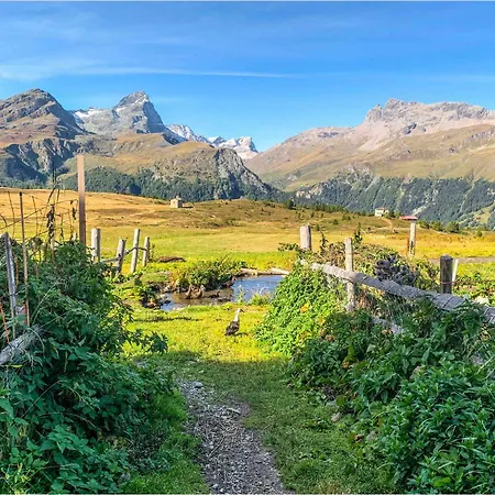 Apartment Heimelige Mit Sicht In Bergwelt Bivio